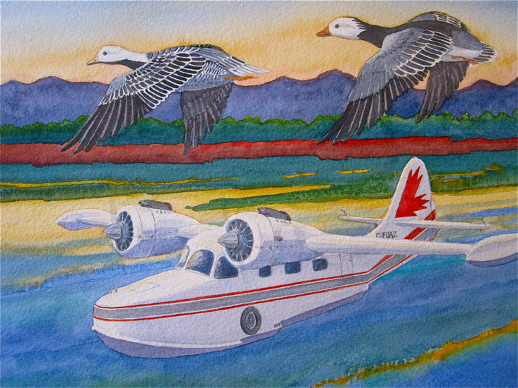 A Grumman Goose flying boat is shown with a Emperor Goose 7 a Snow Goose.