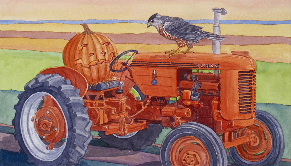 A Pumpkin & a Hawk on a Case Tractor.