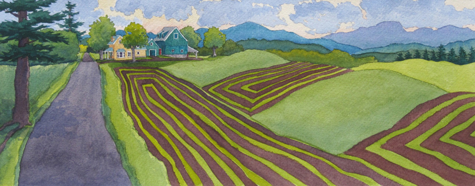 Patterned fields in spring with the farm in the distance.