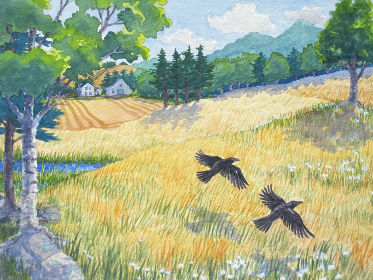 A pair of crows skim across a farm field with the red farmhouse in the background.
