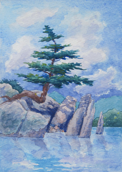 A lone pine overhangs vertical slate rocks along the shoreline.