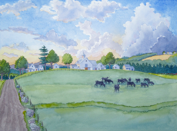 Eastern Townships Farm Scene with Black Angus in the Field.